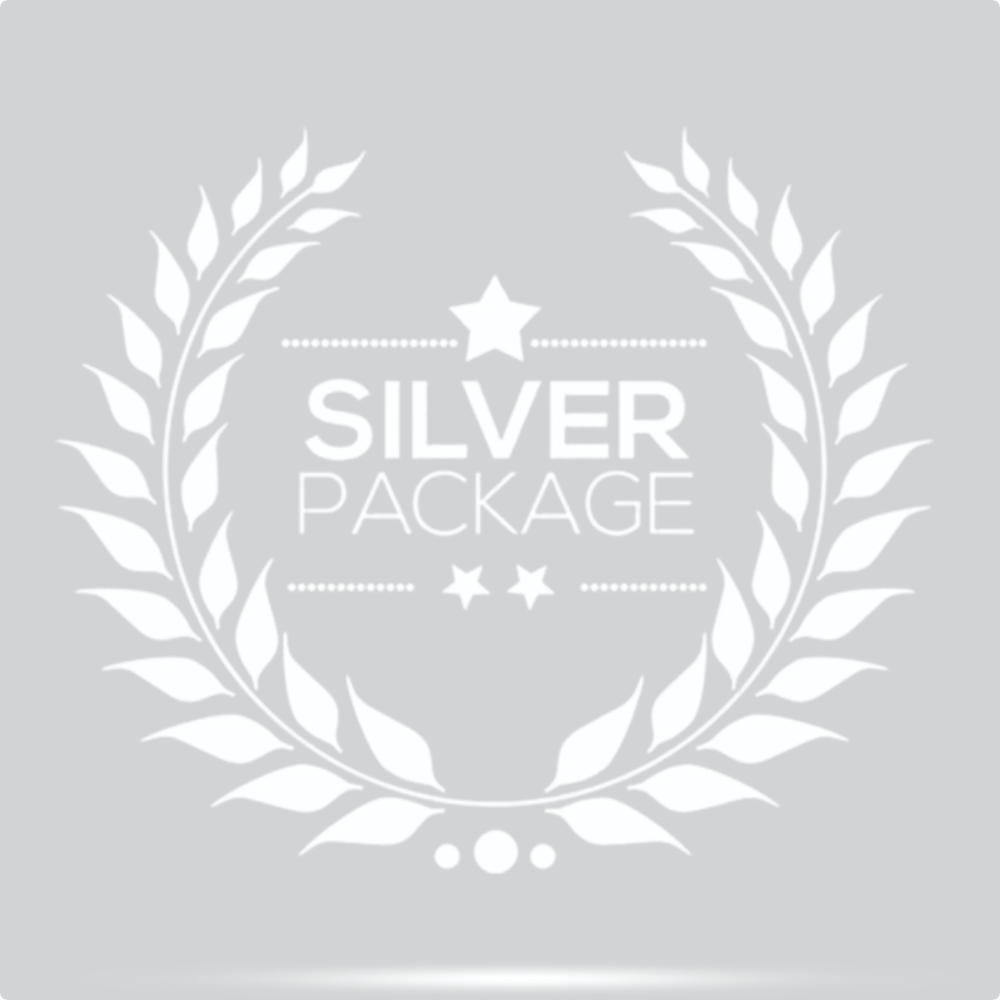 Silver Accessory Package (save £60.97)